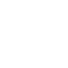 N Sosyal